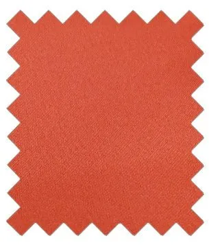 Burnt Orange Wedding Swatch