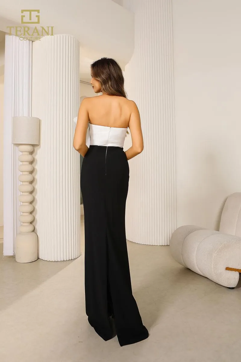 Terani Evenings Dress 251E4286